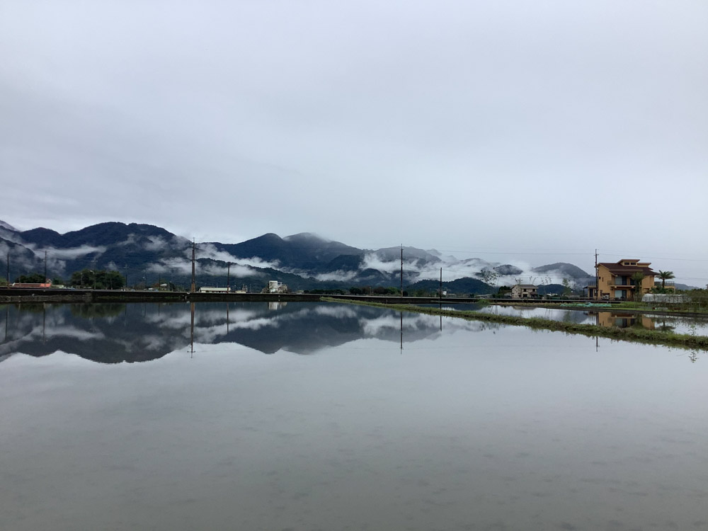 星果園休閒民宿的民宿照片